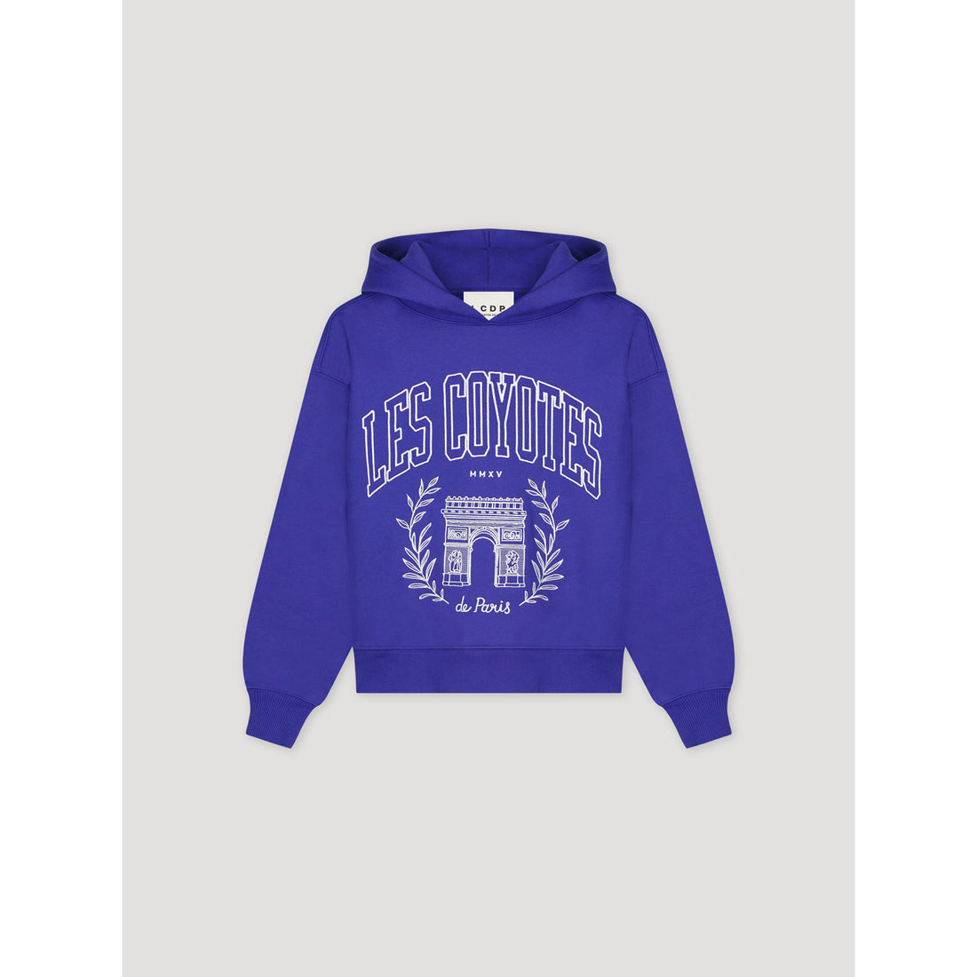 Oversized college online hoodie