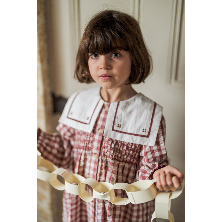 Little Cotton Clothes Seersucker Gingham Smocked Sabrina Dress