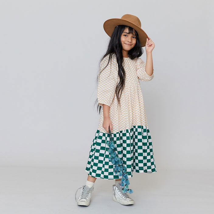 Pink Chicken Danielle Maxi Dress - Mixed Check